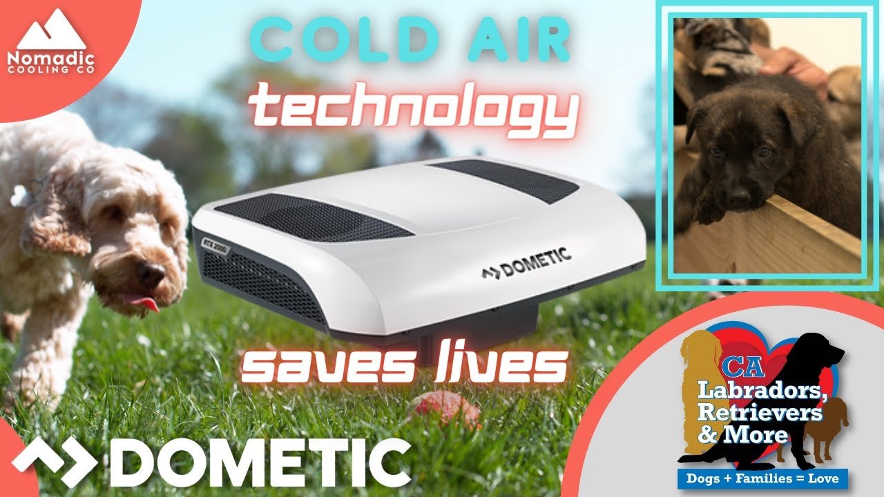 Labs and more dog rescue is using Dometic Cold Air Technology to save Lives - Nomadic Cooling